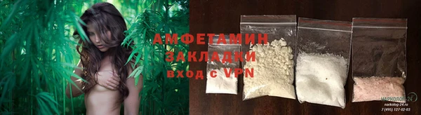 шишки Армянск