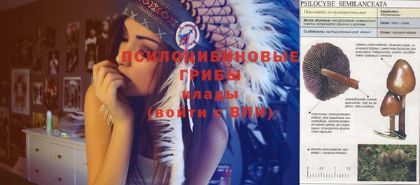 дживик Арсеньев