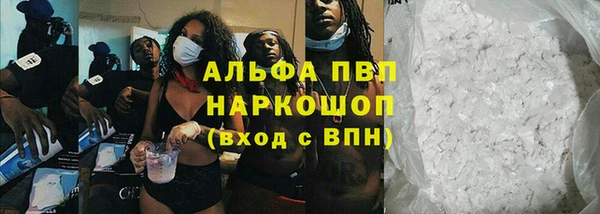 шишки Армянск